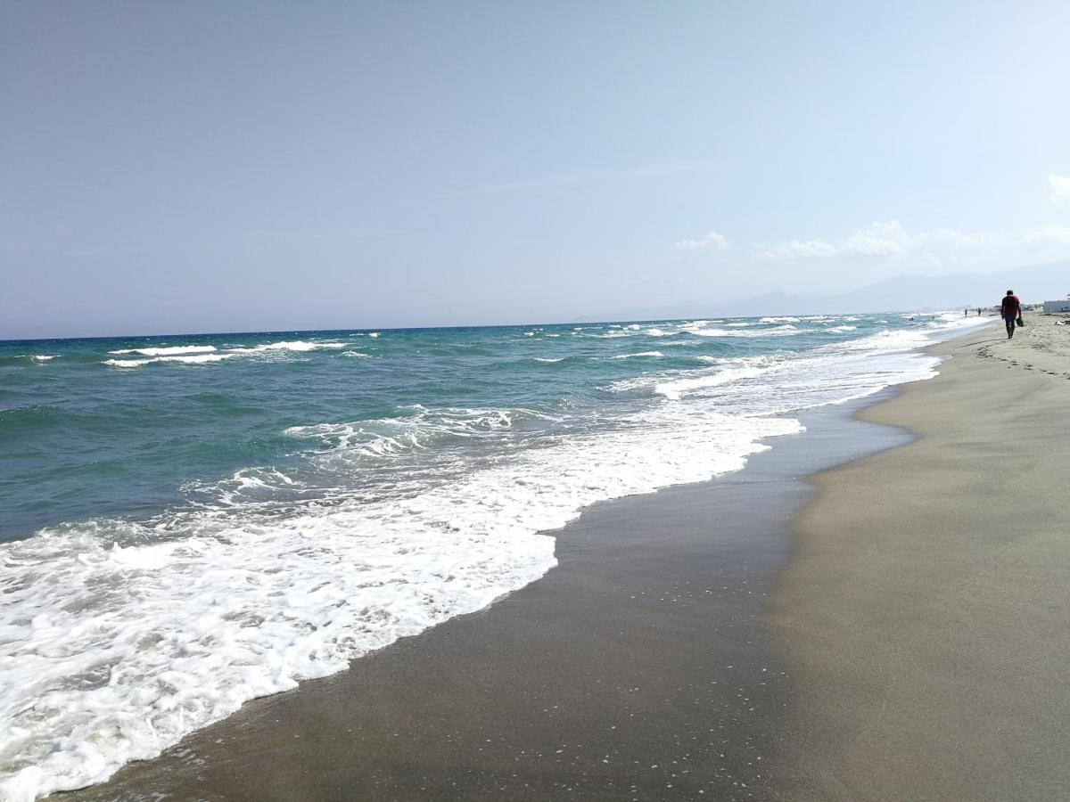 Agreable Studio 50M De La Plage Canet-en-Roussillon Exterior foto